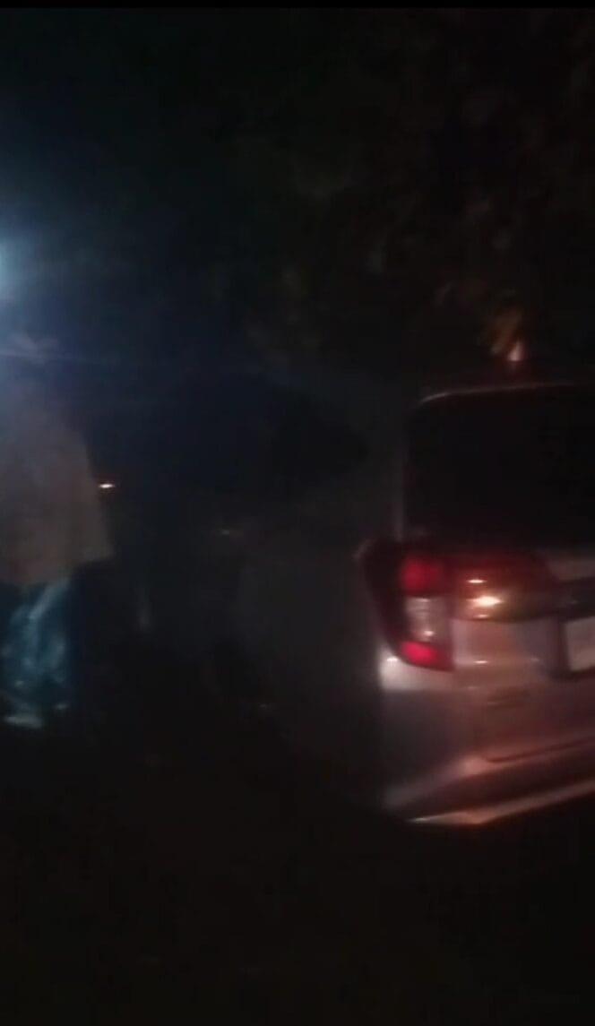 
					Pohon Tumbang di Jalan Brigjen Zein Hamid, Sebabkan Kemacetan dan Rusak Mobil