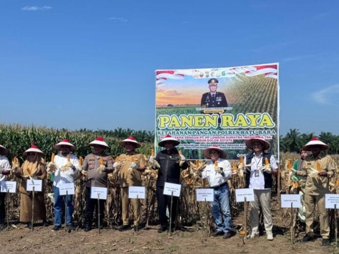 
					Kapolsek Lima Puluh Hadiri Panen Raya Jagung Dukung Ketahanan Pangan Nasional