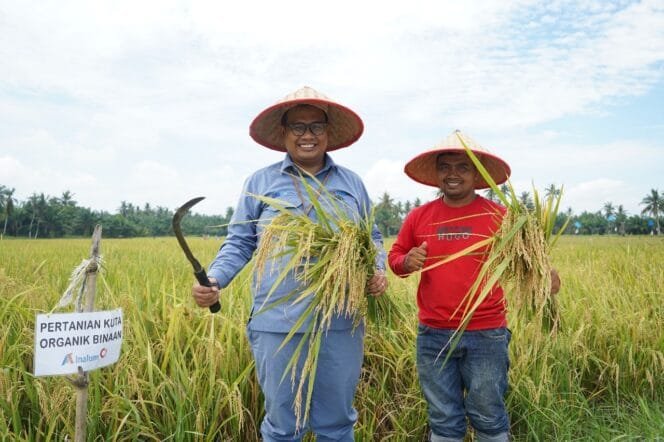 
					INALUM Dorong Pertanian Berkelanjutan di Kuala Tanjung Lewat Metode Tani Nusantara