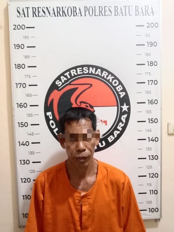 
					Gubuk Jadi Gudang Ganja? Satresnarkoba Polres Batu Bara Datang, 75,92 Gram Ikut Diamankan